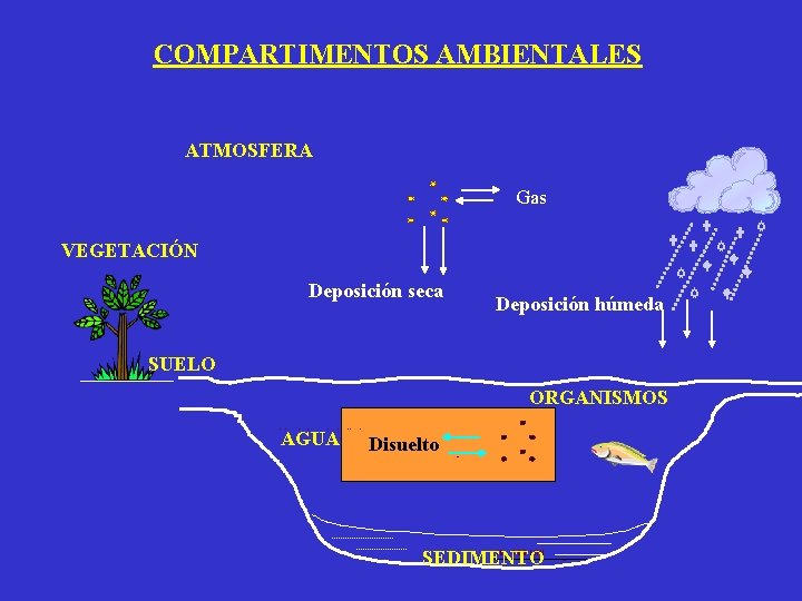 COMPARTIMENTOS AMBIENTALES ATMOSFERA Gas VEGETACIÓN Deposición seca SUELO ORGANISMOS AGUA Disuelto SEDIMENTO Deposición húmeda COMPARTIMENTOS AMBIENTALES ATMOSFERA Gas VEGETACIÓN Deposición seca SUELO ORGANISMOS AGUA Disuelto SEDIMENTO Deposición húmeda