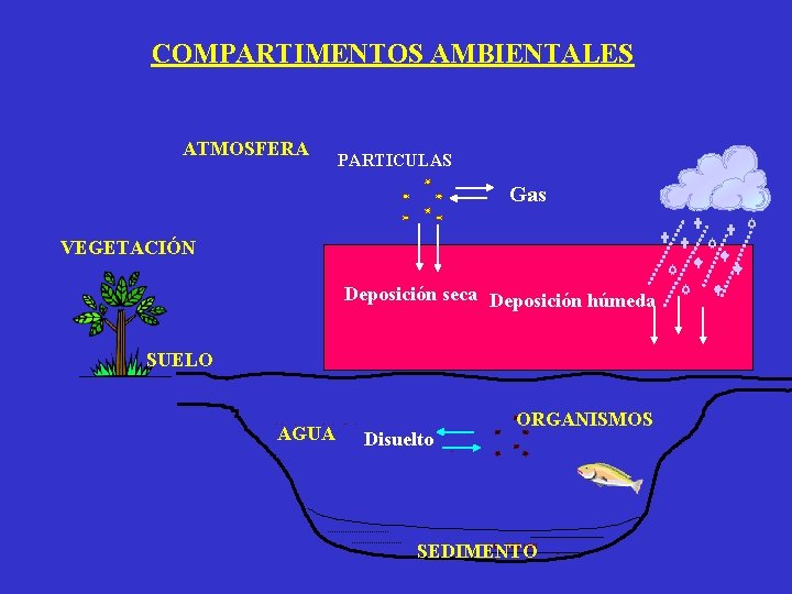 COMPARTIMENTOS AMBIENTALES ATMOSFERA PARTICULAS Gas VEGETACIÓN SUELO AGUA Disuelto ORGANISMOS SEDIMENTO Deposición seca Deposición COMPARTIMENTOS AMBIENTALES ATMOSFERA PARTICULAS Gas VEGETACIÓN SUELO AGUA Disuelto ORGANISMOS SEDIMENTO Deposición seca Deposición
