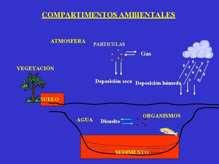 COMPARTIMENTOS AMBIENTALES ATMOSFERA PARTICULAS Gas VEGETACIÓN SUELO AGUA Disuelto ORGANISMOS SEDIMENTO Deposición seca Deposición COMPARTIMENTOS AMBIENTALES ATMOSFERA PARTICULAS Gas VEGETACIÓN SUELO AGUA Disuelto ORGANISMOS SEDIMENTO Deposición seca Deposición
