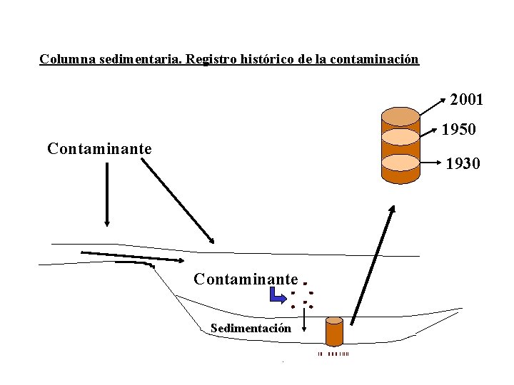 Columna sedimentaria. Registro histórico de la contaminación 2001 1950 Contaminante 1930 Contaminante Disuelto Sedimentación Columna sedimentaria. Registro histórico de la contaminación 2001 1950 Contaminante 1930 Contaminante Disuelto Sedimentación