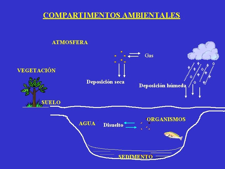 COMPARTIMENTOS AMBIENTALES ATMOSFERA Gas VEGETACIÓN Deposición seca SUELO AGUA Disuelto ORGANISMOS SEDIMENTO Deposición húmeda COMPARTIMENTOS AMBIENTALES ATMOSFERA Gas VEGETACIÓN Deposición seca SUELO AGUA Disuelto ORGANISMOS SEDIMENTO Deposición húmeda