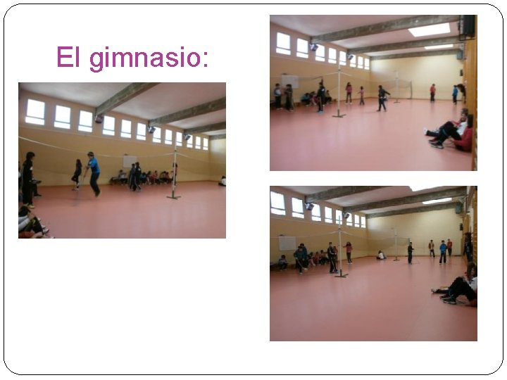 El gimnasio: 