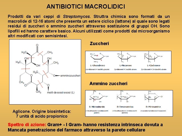 ANTIBIOTICI MACROLIDICI Prodotti da vari ceppi di Streptomyces. Struttra chimica sono formati da un