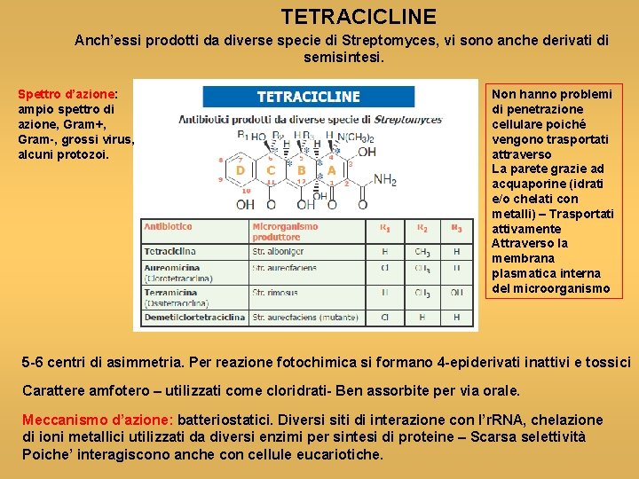 TETRACICLINE Anch’essi prodotti da diverse specie di Streptomyces, vi sono anche derivati di semisintesi.