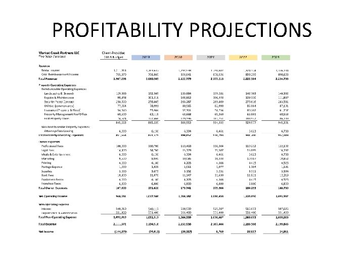 PROFITABILITY PROJECTIONS 