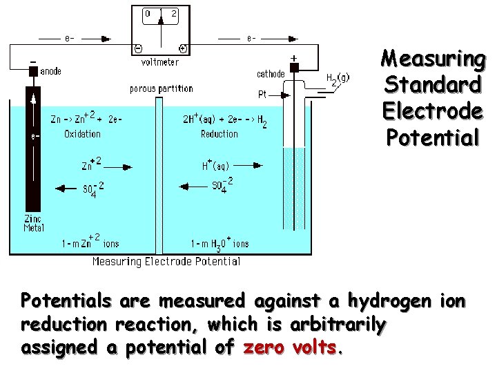Measuring Standard Electrode Potentials are measured against a hydrogen ion reduction reaction, which is