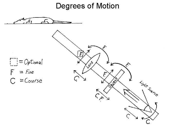 Degrees of Motion 