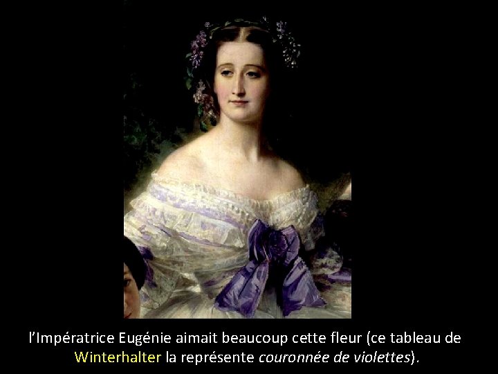 l’Impératrice Eugénie aimait beaucoup cette fleur (ce tableau de Winterhalter la représente couronnée de