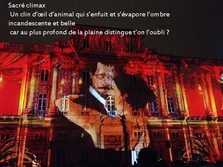 Sacré climax Un clin d’œil d’animal qui s’enfuit et s’évapore l’ombre incandescente et belle