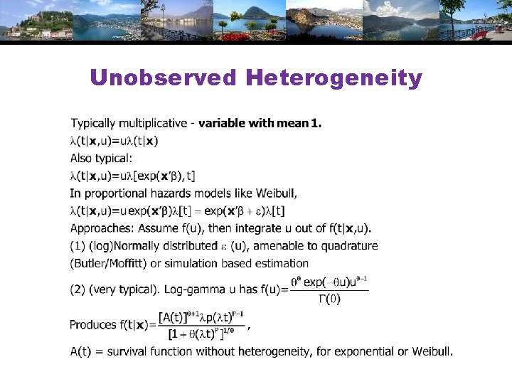 Unobserved Heterogeneity 