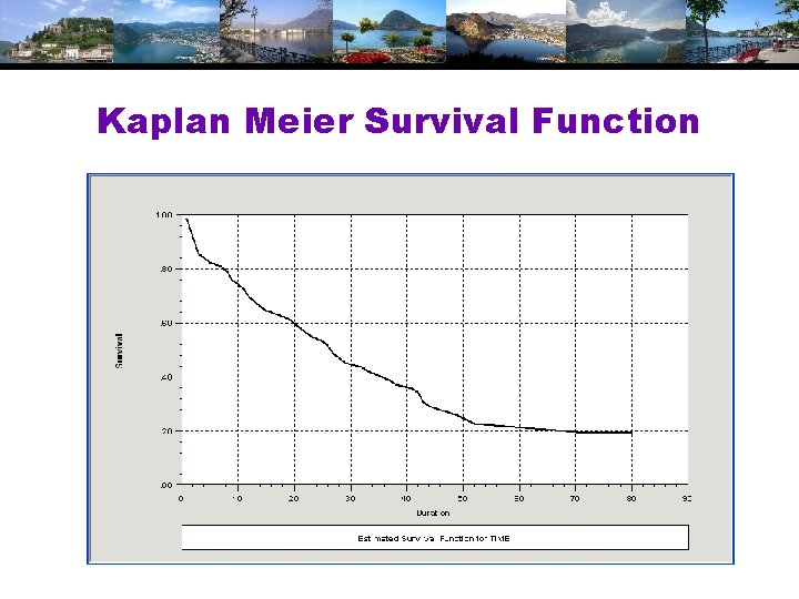 Kaplan Meier Survival Function 