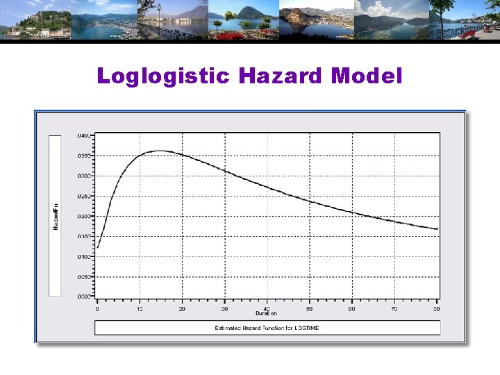 Loglogistic Hazard Model 