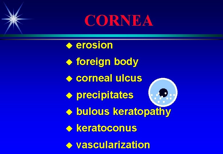 CORNEA u erosion u foreign body u corneal ulcus u precipitates u bulous keratopathy