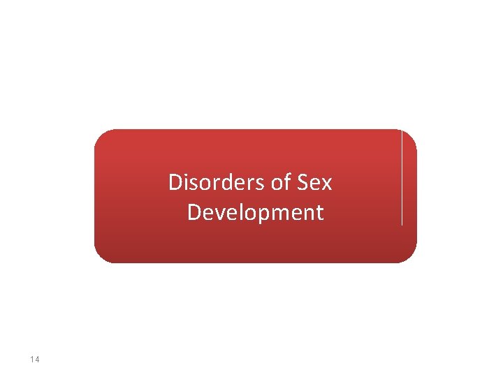Disorders of Sex Development 14 