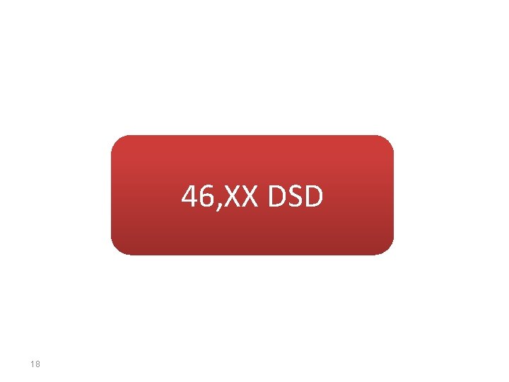 46, XX DSD 18 