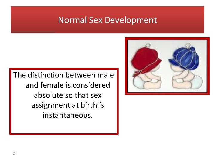 Normal Sex Development The distinction between male and female is considered absolute so that