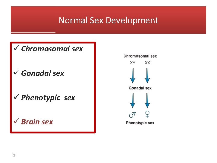 Normal Sex Development ü Chromosomal sex ü Gonadal sex ü Phenotypic sex ü Brain