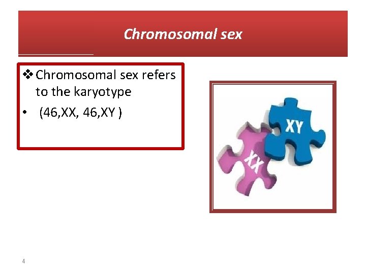 Chromosomal sex v Chromosomal sex refers to the karyotype • (46, XX, 46, XY