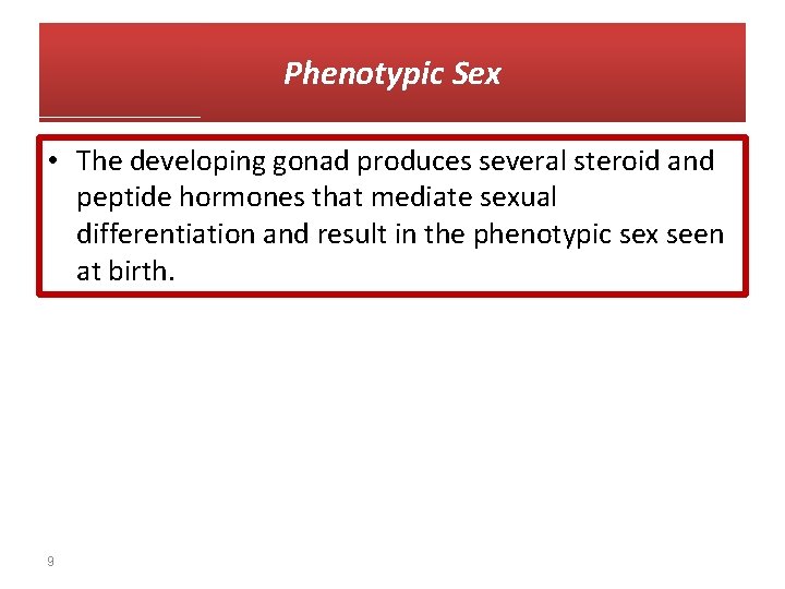 Phenotypic Sex • The developing gonad produces several steroid and peptide hormones that mediate