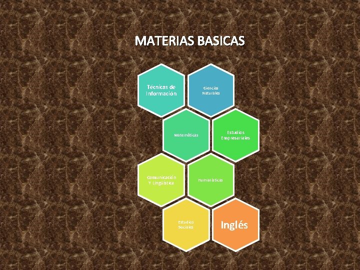 MATERIAS BASICAS Técnicas de Información Ciencias Naturales Matemáticas Comunicación Y Lingüística Estudios Empresariales Humanísticas