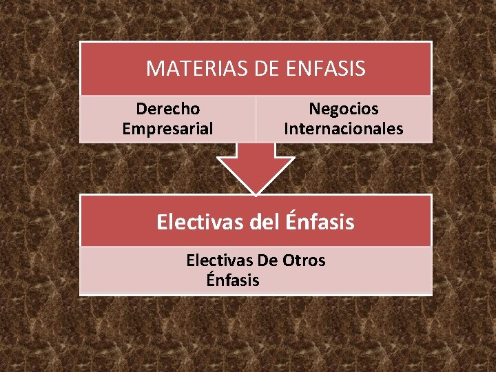 MATERIAS DE ENFASIS Derecho Empresarial Negocios Internacionales Electivas del Énfasis Electivas De Otros Énfasis