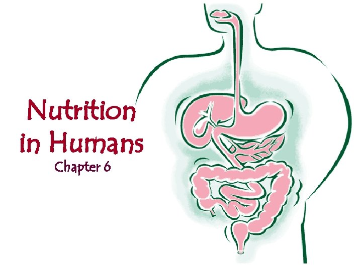 Nutrition in Humans Chapter 6 