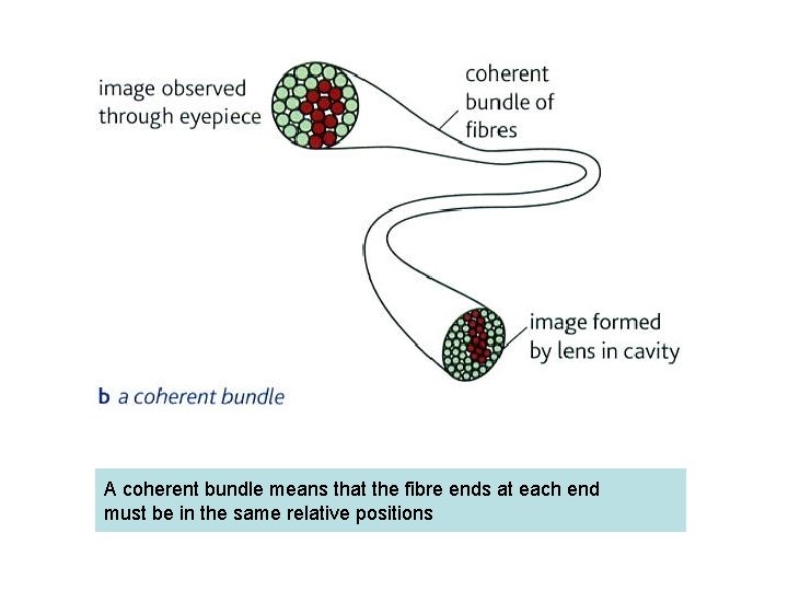 A coherent bundle means that the fibre ends at each end must be in