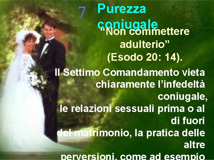 7 Purezza coniugale “Non commettere adulterio” (Esodo 20: 14). Il Settimo Comandamento vieta chiaramente