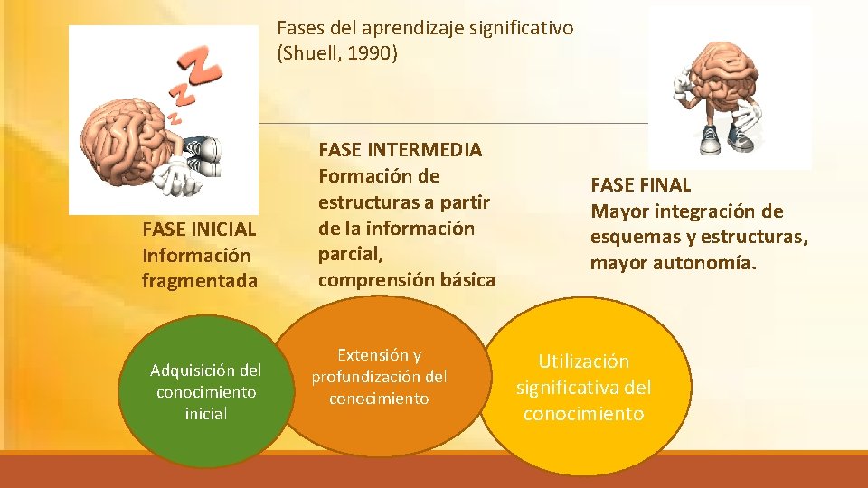 Fases del aprendizaje significativo (Shuell, 1990) FASE INICIAL Información fragmentada Adquisición del conocimiento inicial