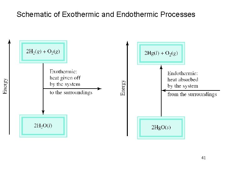 Schematic of Exothermic and Endothermic Processes 41 