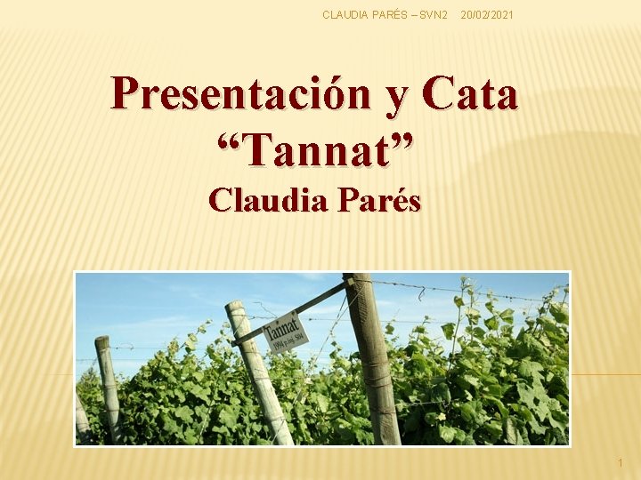 CLAUDIA PARÉS – SVN 2 20/02/2021 Presentación y Cata “Tannat” Claudia Parés 1 