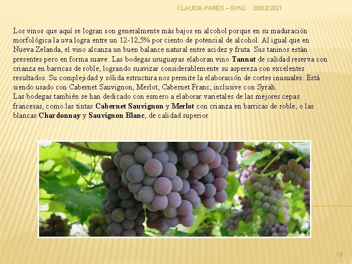 CLAUDIA PARÉS – SVN 2 20/02/2021 Los vinos que aquí se logran son generalmente