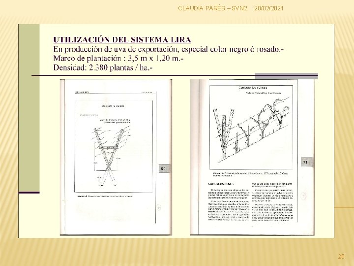 CLAUDIA PARÉS – SVN 2 20/02/2021 25 