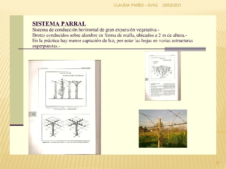 CLAUDIA PARÉS – SVN 2 20/02/2021 27 