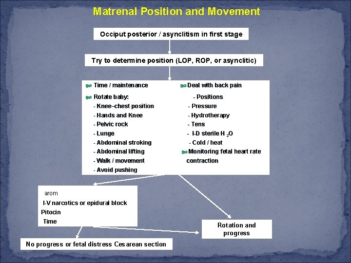 Matrenal Position and Movement Occiput posterior / asynclitism in first stage Try to determine