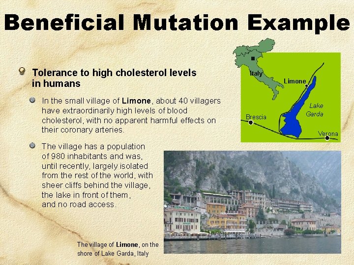 Beneficial Mutation Example Tolerance to high cholesterol levels in humans In the small village