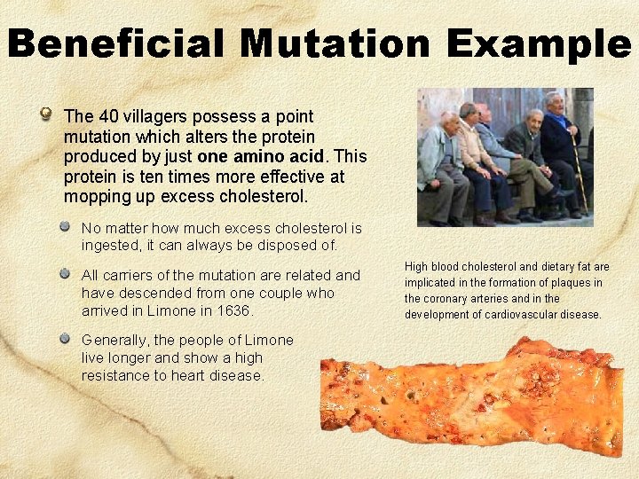 Beneficial Mutation Example The 40 villagers possess a point mutation which alters the protein