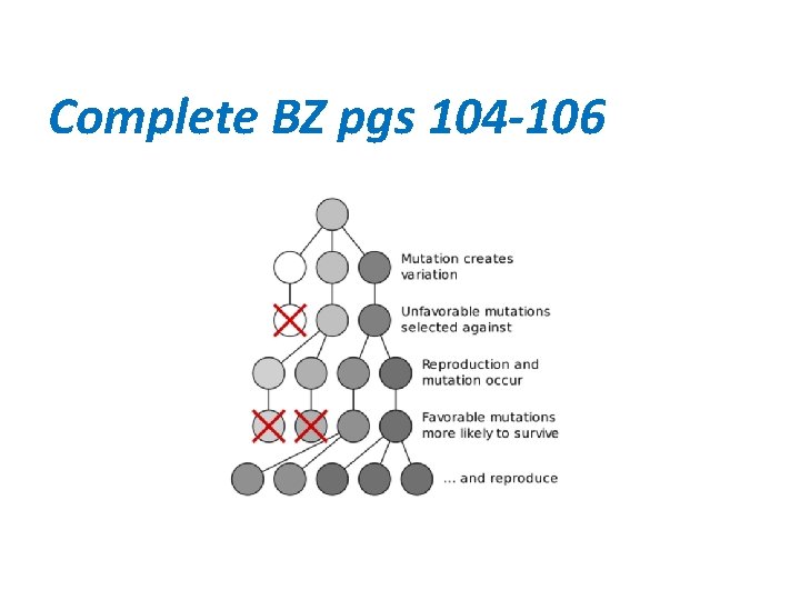 Complete BZ pgs 104 -106 