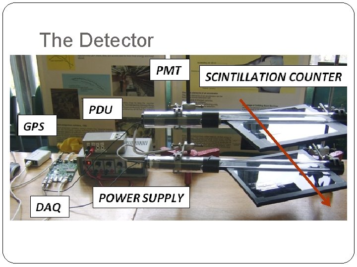 The Detector 