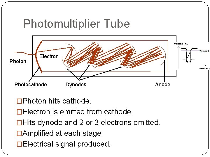 Photomultiplier Tube Photon Electron Photocathode Dynodes Anode �Photon hits cathode. �Electron is emitted from