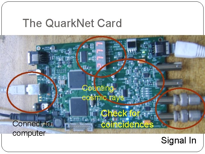 The Quark. Net Card �ddddfd Counting cosmic rays Connect to computer Check for coincidences