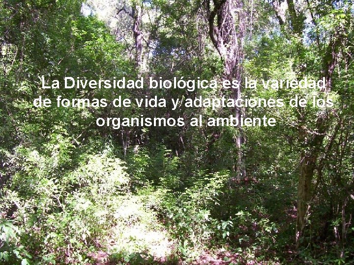 La Diversidad biológica es la variedad de formas de vida y adaptaciones de los