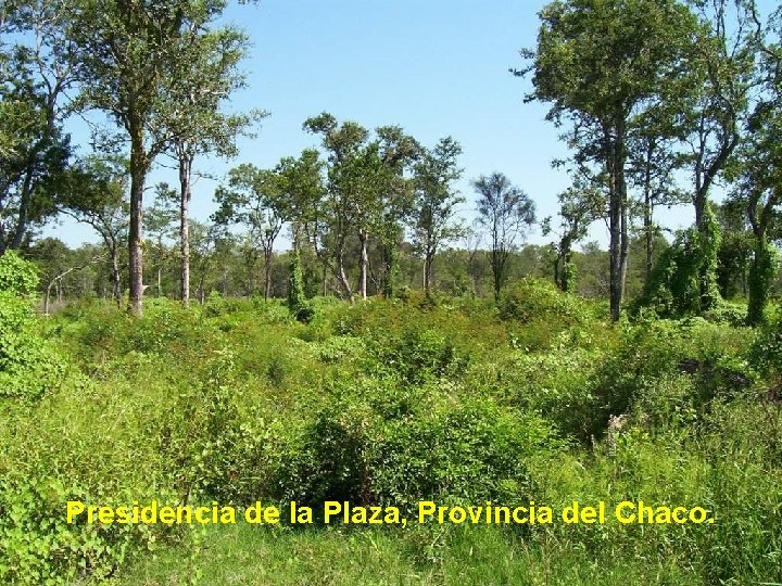 Presidencia de la Plaza, Provincia del Chaco. 