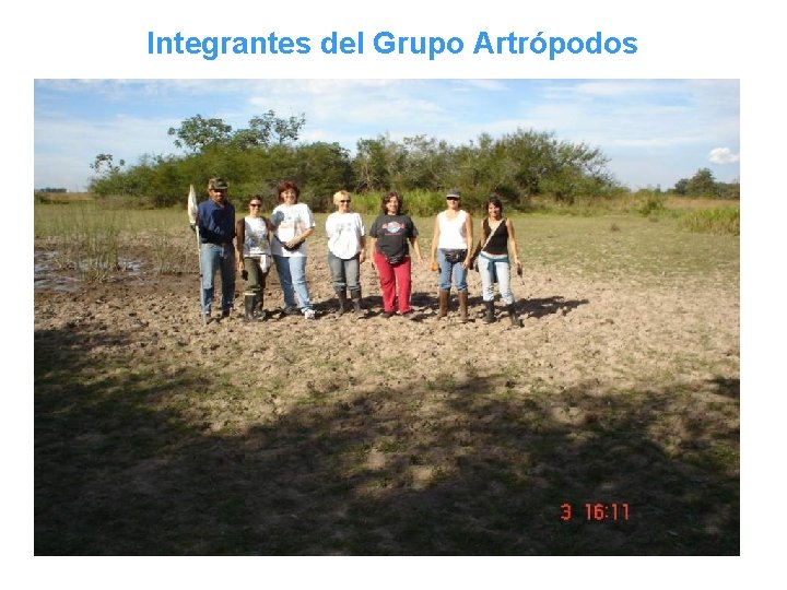 Integrantes del Grupo Artrópodos 