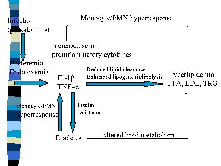 Monocyte/PMN hyperresponse Infection (periodontitis) Increased serum proinflammatory cytokines Bacteremia Endotoxemia IL-1 b, TNF-a Monocyte/PMN Monocyte/PMN hyperresponse Infection (periodontitis) Increased serum proinflammatory cytokines Bacteremia Endotoxemia IL-1 b, TNF-a Monocyte/PMN