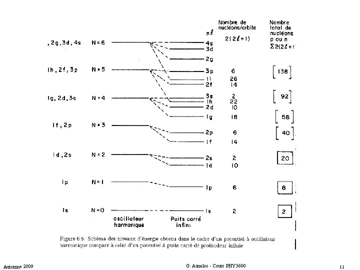 Automne 2009 G. Azuelos - Cours PHY 3600 11 