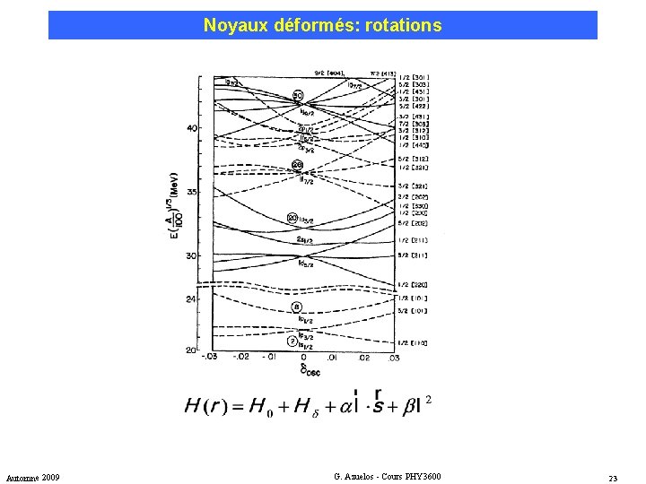 Noyaux déformés: rotations Automne 2009 G. Azuelos - Cours PHY 3600 23 