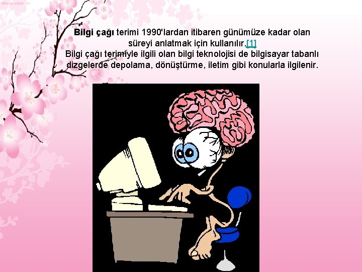 Bilgi çağı terimi 1990'lardan itibaren günümüze kadar olan süreyi anlatmak için kullanılır. [1] Bilgi