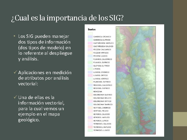 ¿Cual es la importancia de los SIG? • Los SIG pueden manejar dos tipos