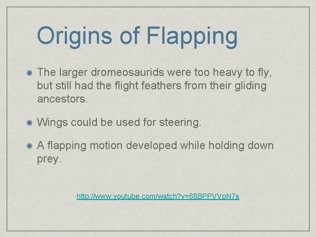 Origins of Flapping The larger dromeosaurids were too heavy to fly, but still had